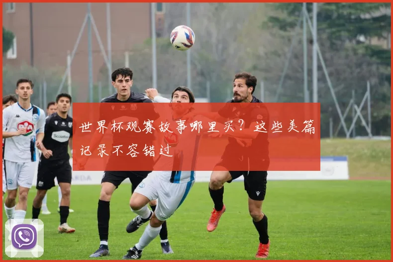 世界杯观赛故事哪里买？这些美篇记录不容错过