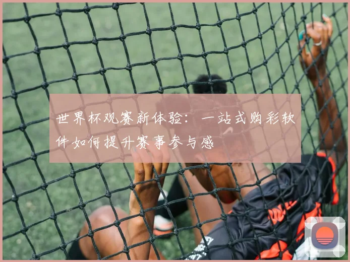 世界杯观赛新体验:一站式购彩软件如何提升赛事参与感