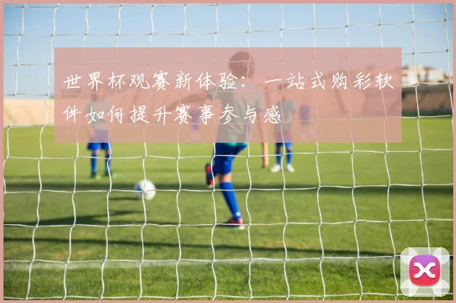 世界杯观赛新体验:一站式购彩软件如何提升赛事参与感