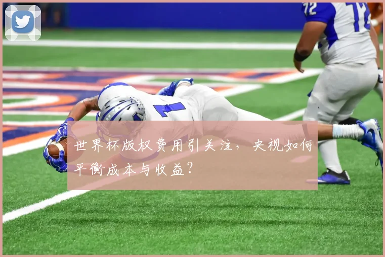世界杯版权费用引关注,央视如何平衡成本与收益?