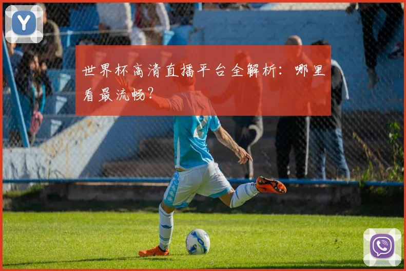 世界杯高清直播平台全解析：哪里看最流畅？
