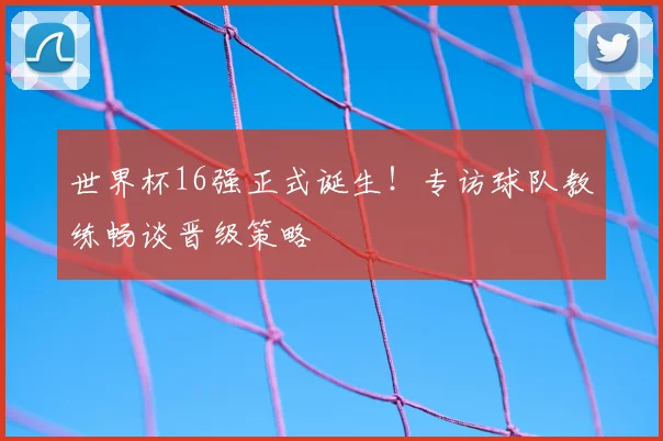 世界杯16强正式诞生！专访球队教练畅谈晋级策略