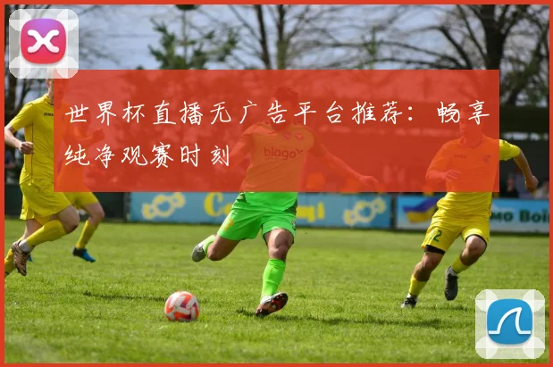 世界杯直播无广告平台推荐：畅享纯净观赛时刻