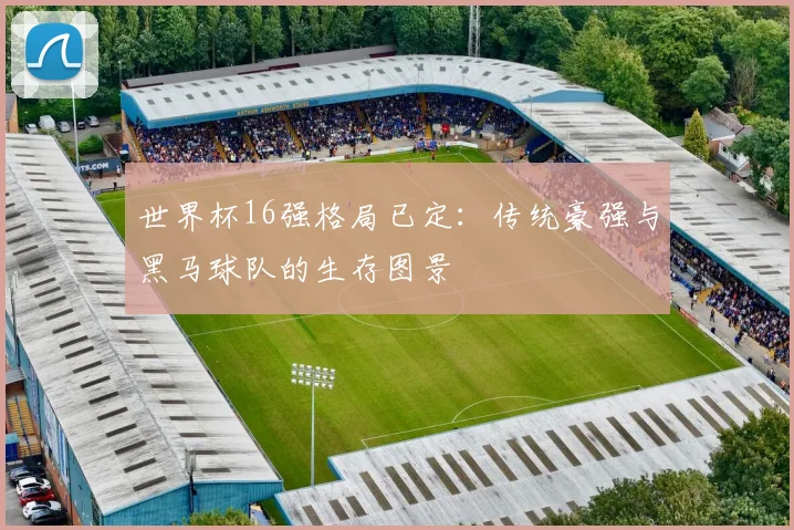 世界杯16强格局已定：传统豪强与黑马球队的生存图景