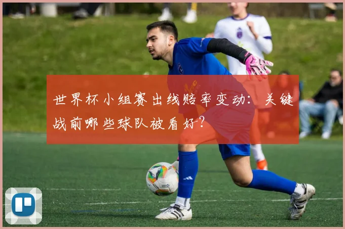 世界杯小组赛出线赔率变动:关键战前哪些球队被看好?