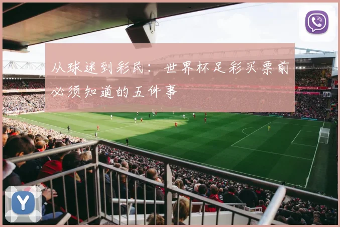从球迷到彩民：世界杯足彩买票前必须知道的五件事