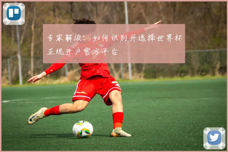 专家解读：如何识别并选择世界杯正规开户官方平台